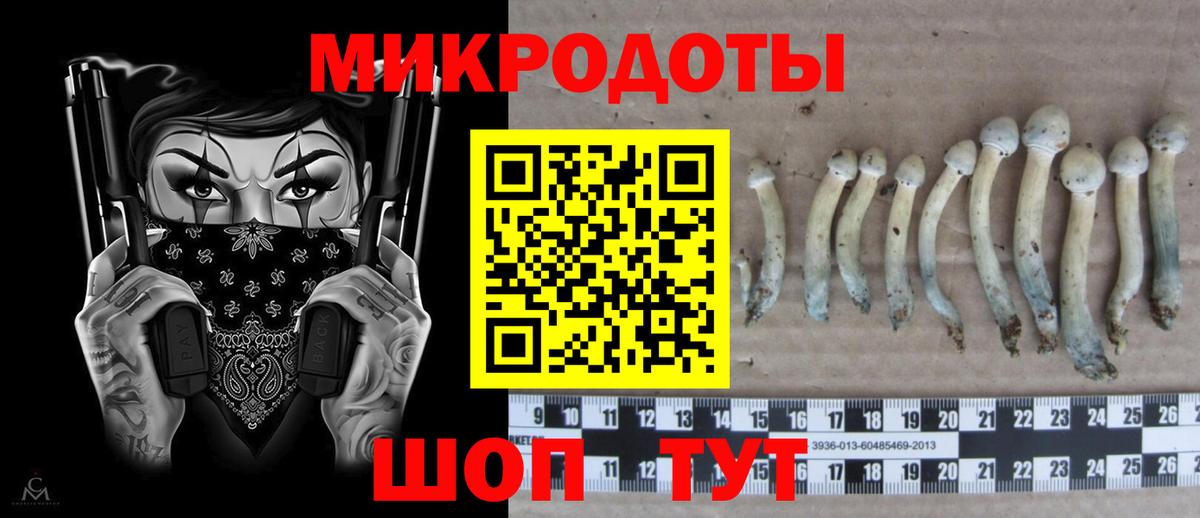 Галлюциногенные грибы Magic Shrooms  Вход с VPN  Лысьва  Псилоцибиновые грибы Psilocybine cubensis 